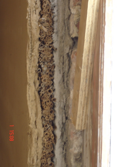 Wandopbouw begane grond